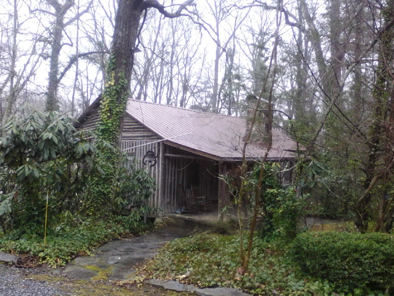 Weathered metal roof on an old board sided cabin in the woods in Spruce Pine