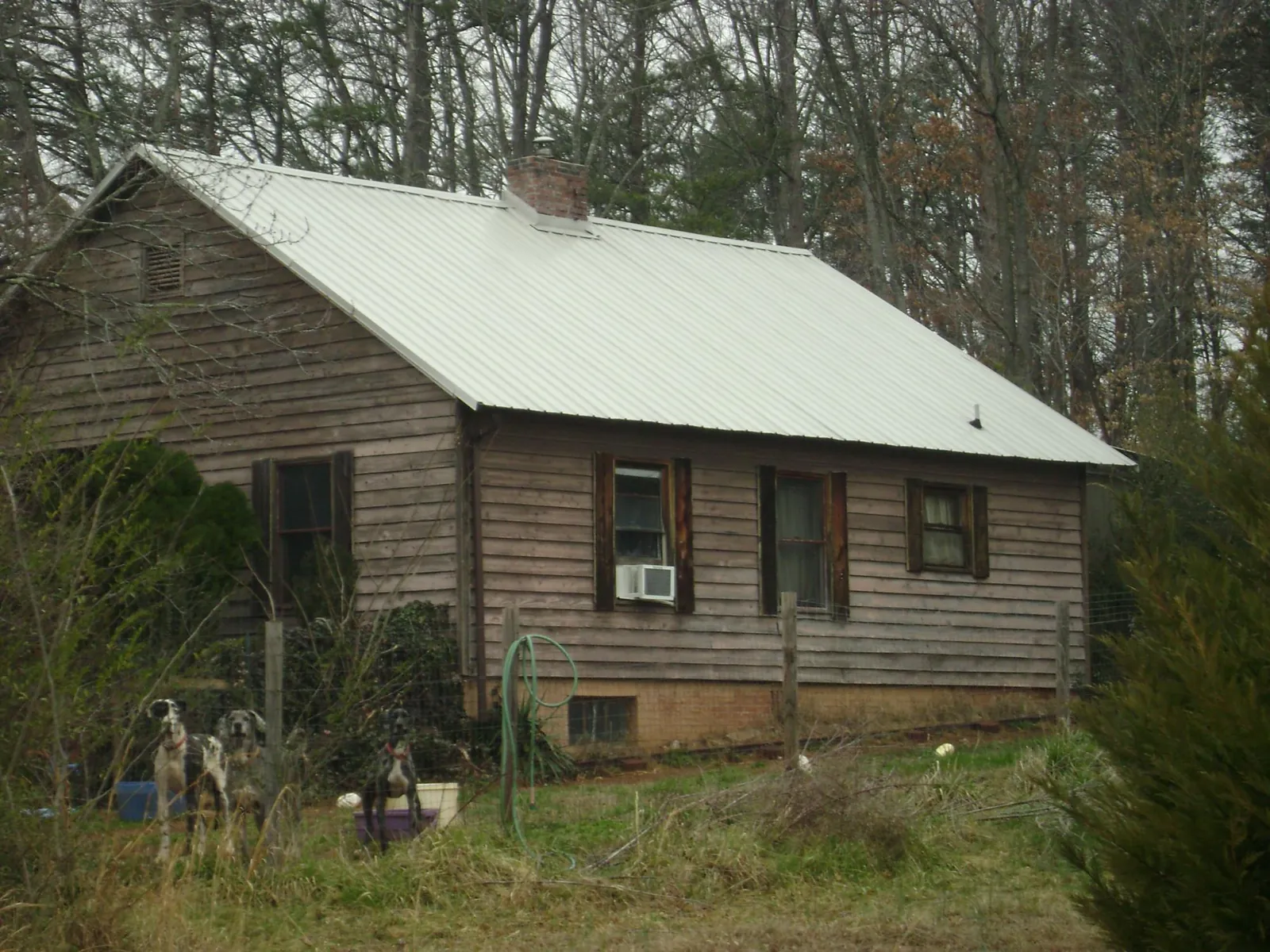 White metal roof on an old wood sided farmhouse, from a Asphalt Shingle Roof Repair job in Spruce Pine